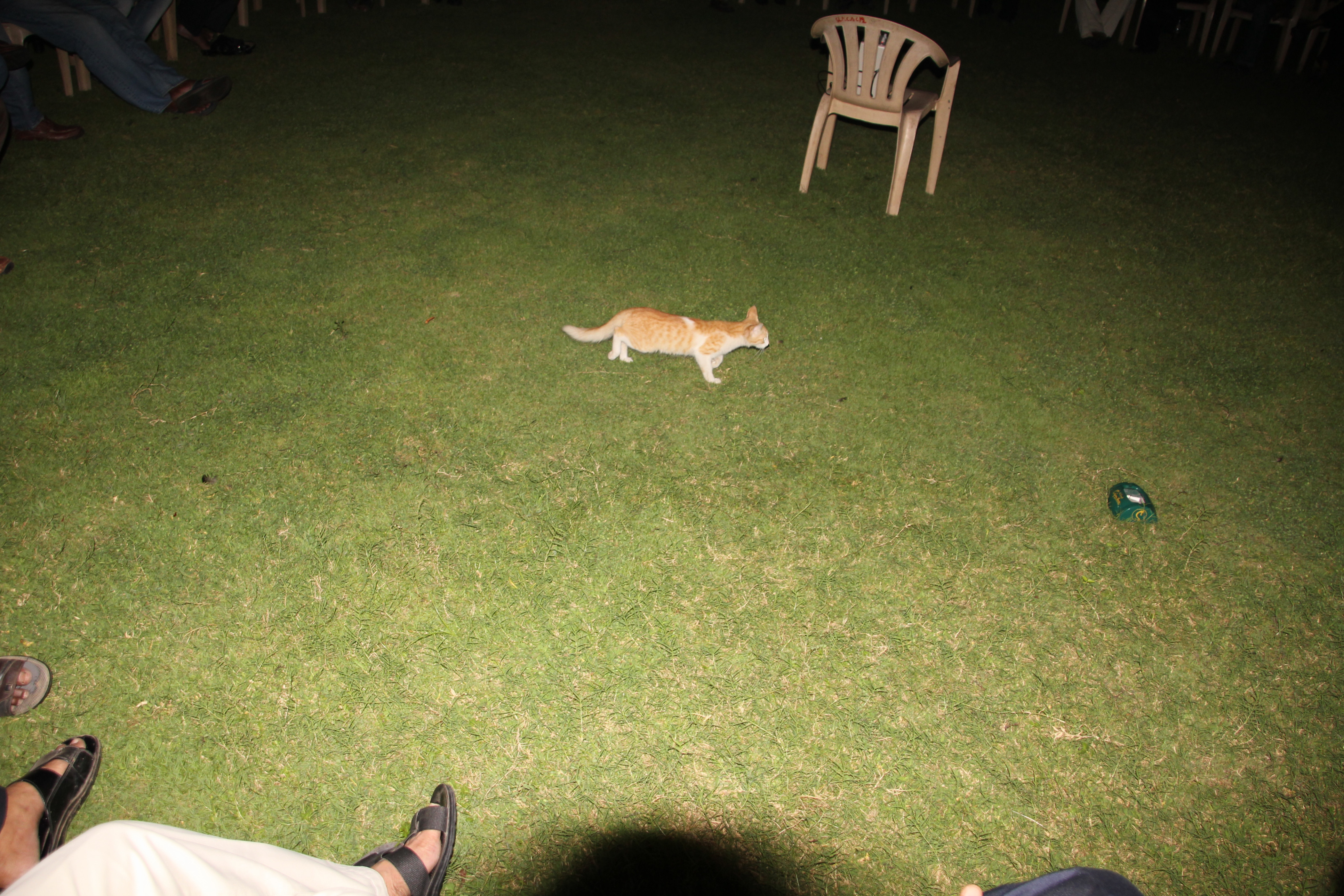 IMG 9197